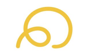 lasso loop