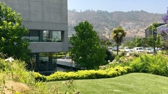 Company Office