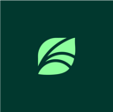 Spring Health Logo