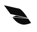 White Wing Insurance Solutions LLC Logo